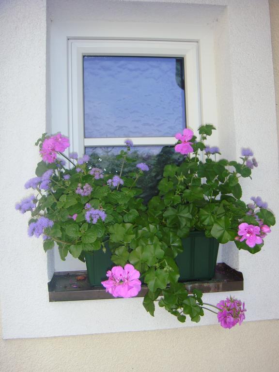 Ferienwohnungen Steger Bodensdorf Exterior foto